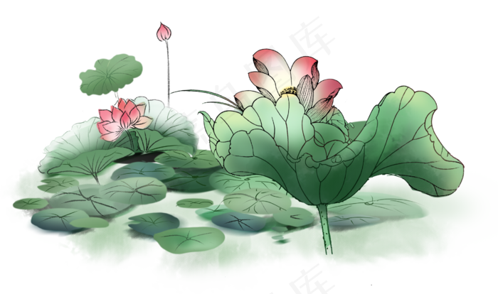 卡通荷花(2738X1620(DPI:300))psd模版下载