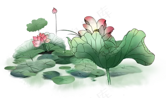 卡通荷花