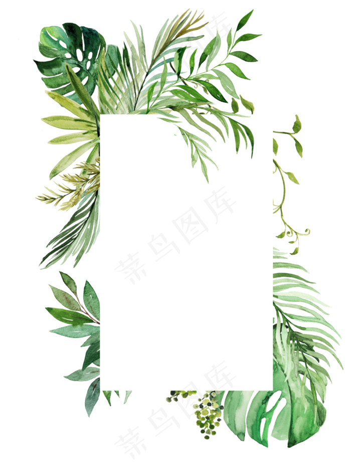 手绘清新植物花卉花框,免抠元素(2018X176)