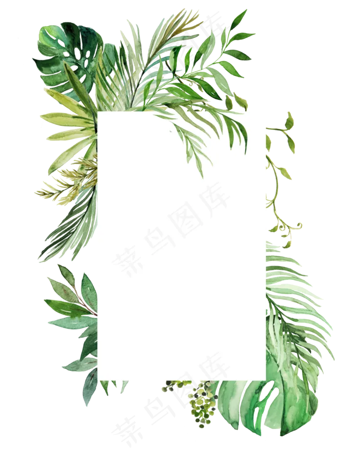 手绘清新植物花卉花框,免抠元素(2018X176)