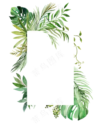 手绘清新植物花卉花框,免抠元素
