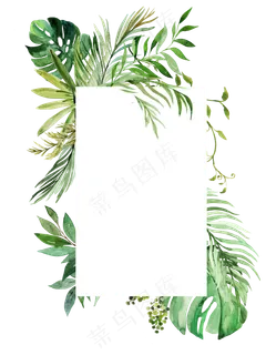 手绘清新植物花卉花框,免抠元素 手绘清新植物花卉花框,免抠元素