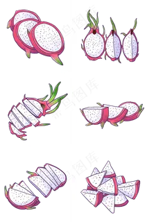 手绘各种切开的火龙果插图PNG