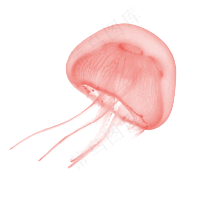 水彩游行红色水母(2000X2000(DPI:300))psd模版下载