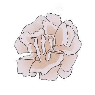 白色好看的康乃馨母亲节