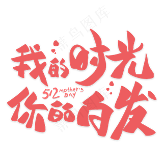 我的时光你的白发