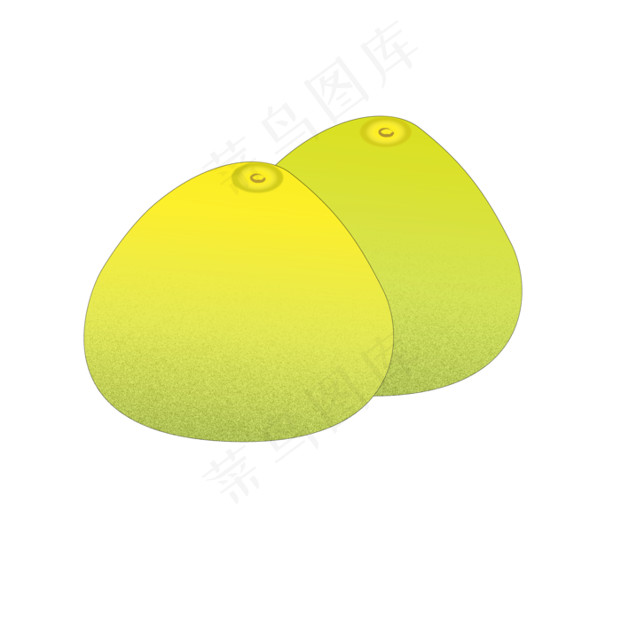 胡柚水果食物写实手绘矢量元素