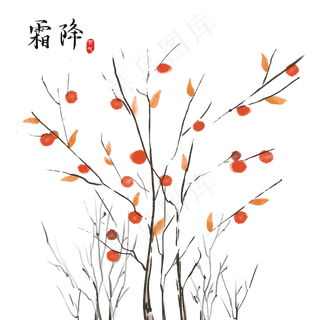 二十四节气霜降柿子树,免抠元素