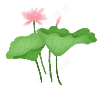 卡通荷花PNG免抠图