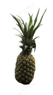 菠萝水果好吃纯天然