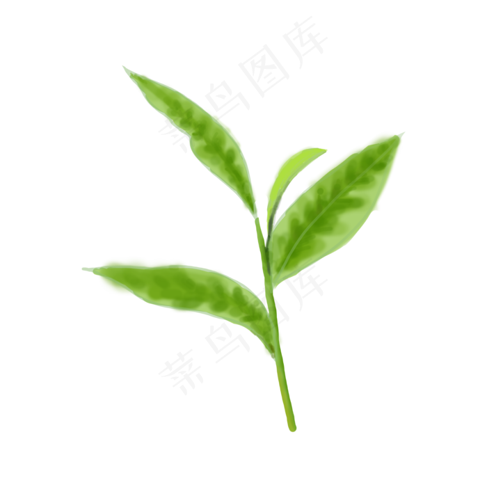 仿真新鲜嫩绿茶叶,免抠元素