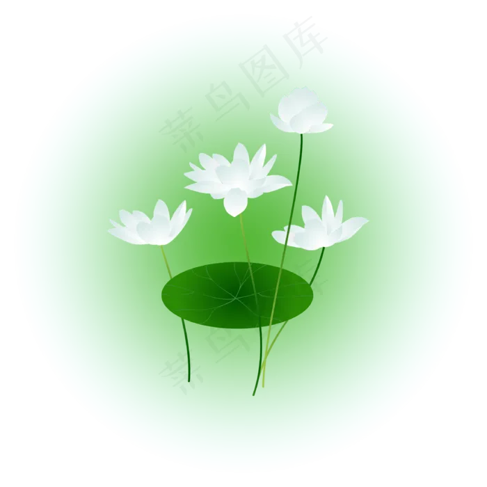 夏日荷花清新精美(3334*3334px 300 dpi )ai矢量模版下载