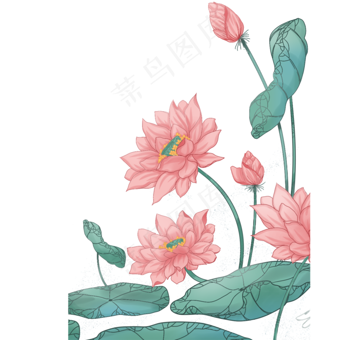 美丽的荷花景色(2000X2000(DPI:299))psd模版下载