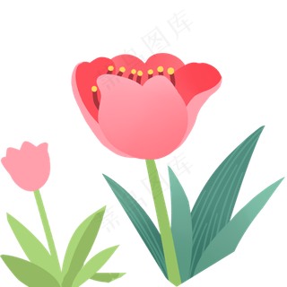 两个卡通的花朵植物