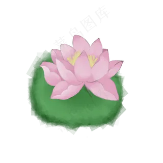 荷花通用词粉色荷花