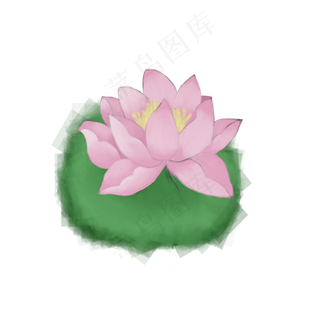 荷花通用词粉色荷花