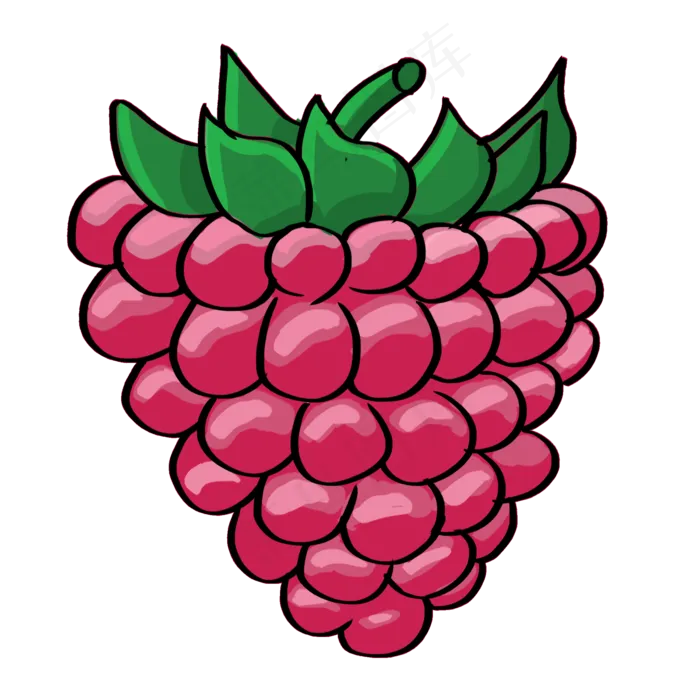 夏季水果手绘桑葚(2000X2000(DPI:300))psd模版下载