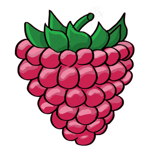 夏季水果手绘桑葚