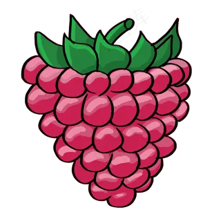 夏季水果手绘桑葚