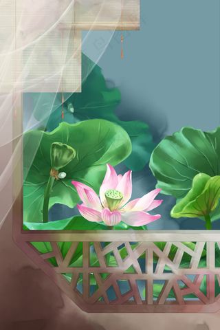 夏季荷花古风建筑风景园林