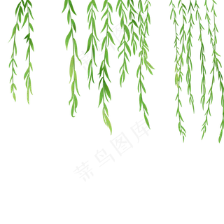 清明节绿色柳枝免扣装饰,免抠元素