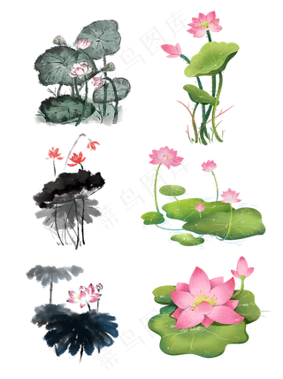 水墨清新荷花夏季植物元素,免抠元素