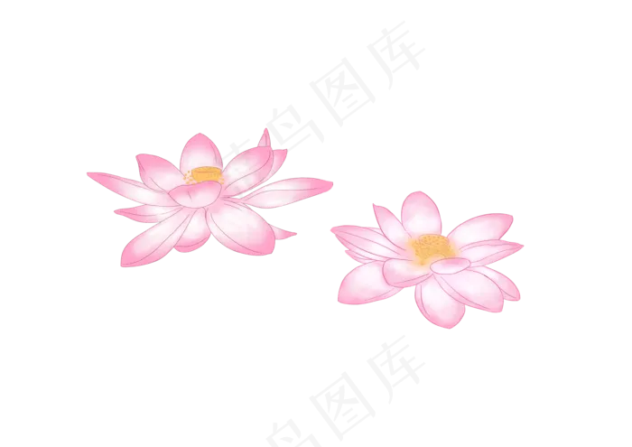 漂浮花瓣荷花png素材(3507X2480(DPI:72))psd模版下载
