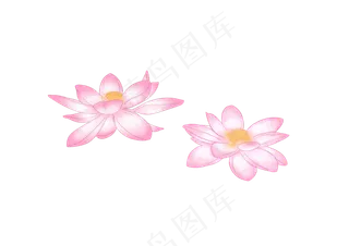 漂浮花瓣荷花png素材