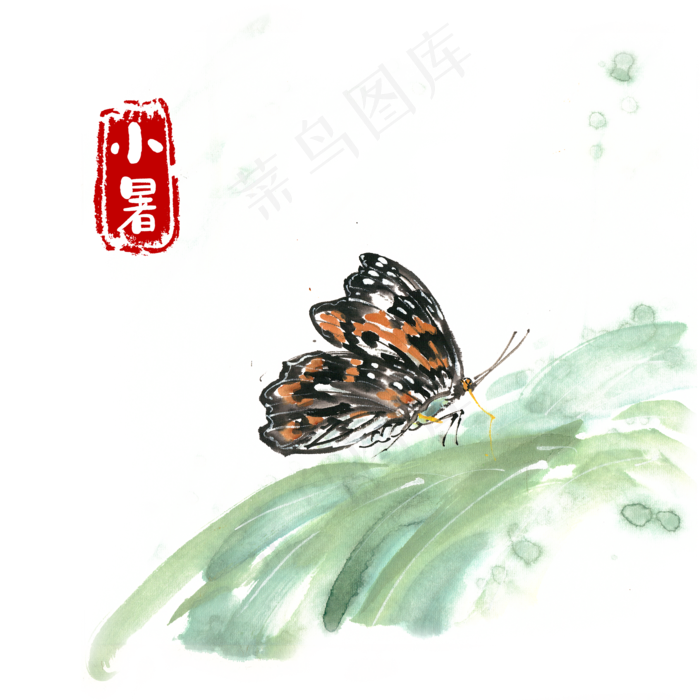 小暑绿叶上的蝴蝶