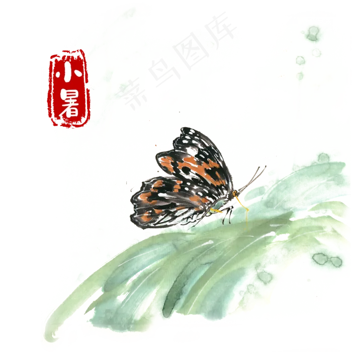 小暑绿叶上的蝴蝶(4724X4724(DPI:300))psd模版下载