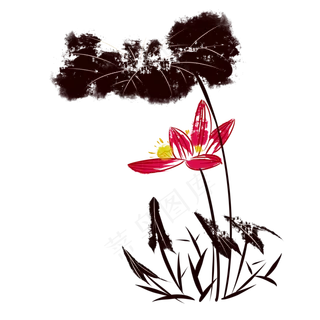 中国风水墨荷花