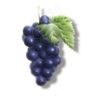 一串紫色的大葡萄