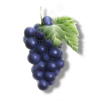 一串紫色的大葡萄