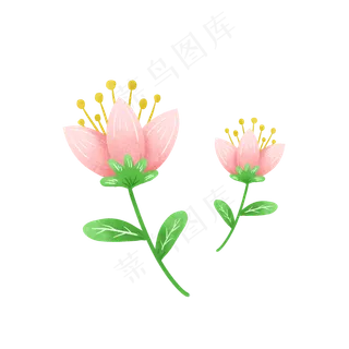 盛开的粉色花朵