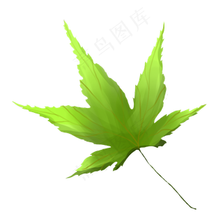 绿色立体树叶插图