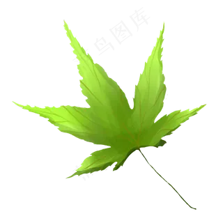 绿色立体树叶插图