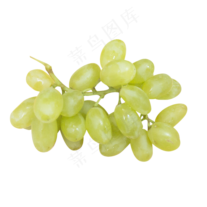 新鲜葡萄提子