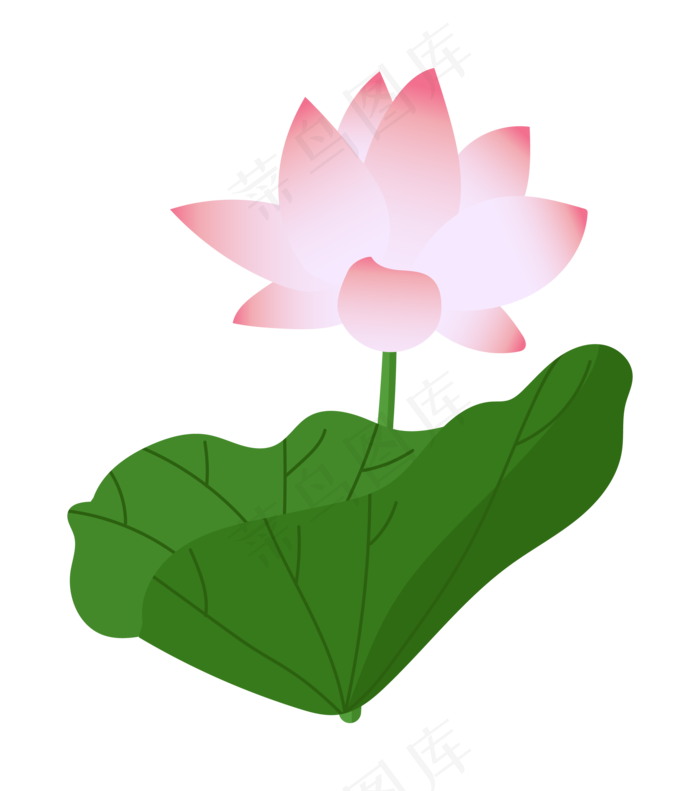 水植物荷花荷叶插图(2048X2048(DPI:300))ai矢量模版下载