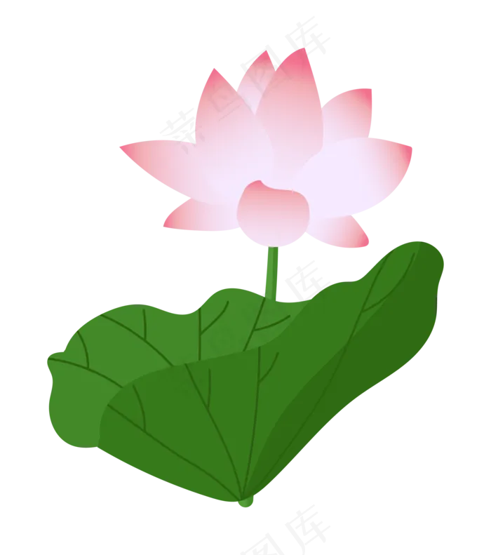水植物荷花荷叶插图(2048X2048(DPI:300))ai矢量模版下载