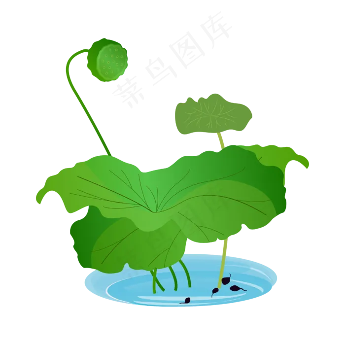 矢量夏至手绘荷叶(4167*4167px 300 dpi )ai矢量模版下载