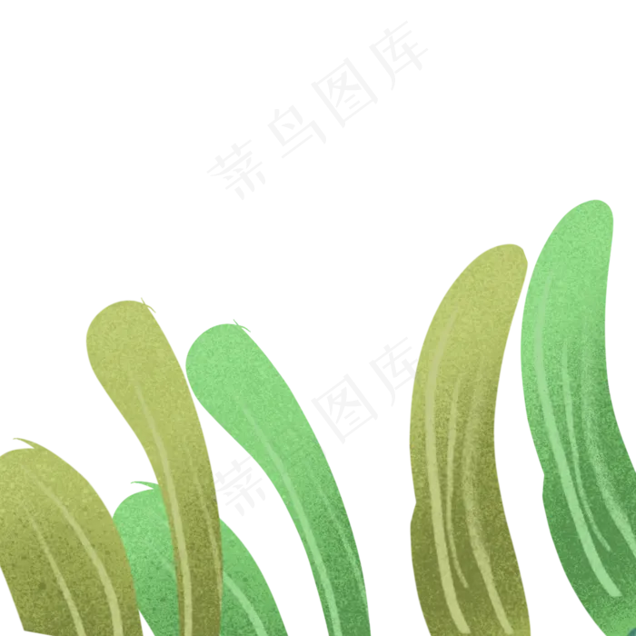 叶子春季自然植物
