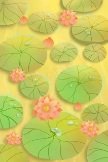 温暖唯美阳光荷花池塘