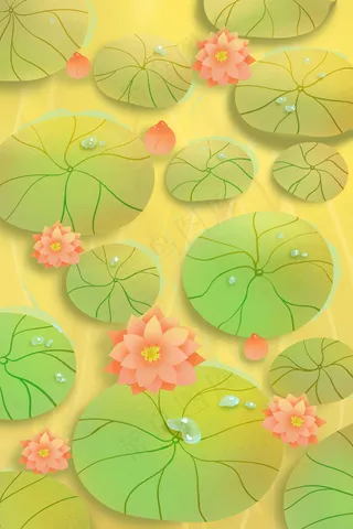 温暖唯美阳光荷花池塘