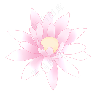 唯美粉色荷花花朵