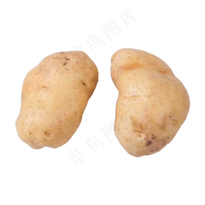 土豆（png免抠）(2000X2000(DPI:72))psd模版下载
