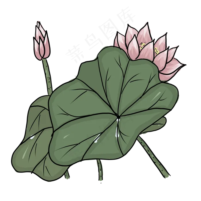 手绘中国风荷花PNG素材(2000X2000(DPI:300))psd模版下载