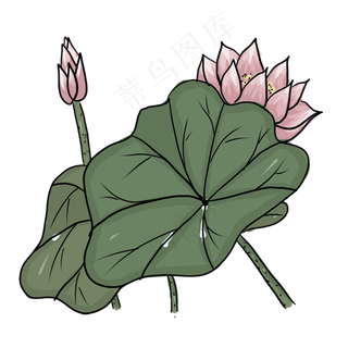手绘中国风荷花PNG素材