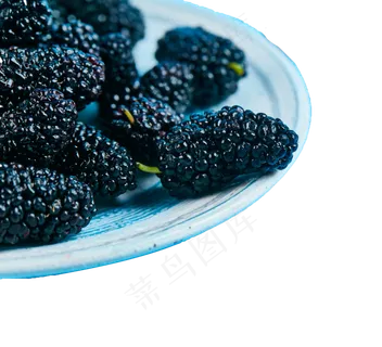 水果桑葚 水果桑葚