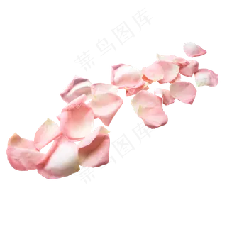 玫瑰粉红色花瓣