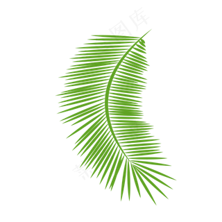 一片弯曲的绿色针尖叶子设计